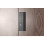 CSGLG200, APP Remote Control Smart Fingerprint Password Code Lock For Grille Metal Push Sliding Door